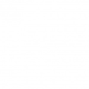 河野菜穂子 河野菜穂子