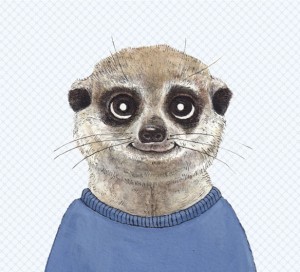 あさくら こん