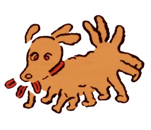 香坂 はるひ 香坂 はるひ