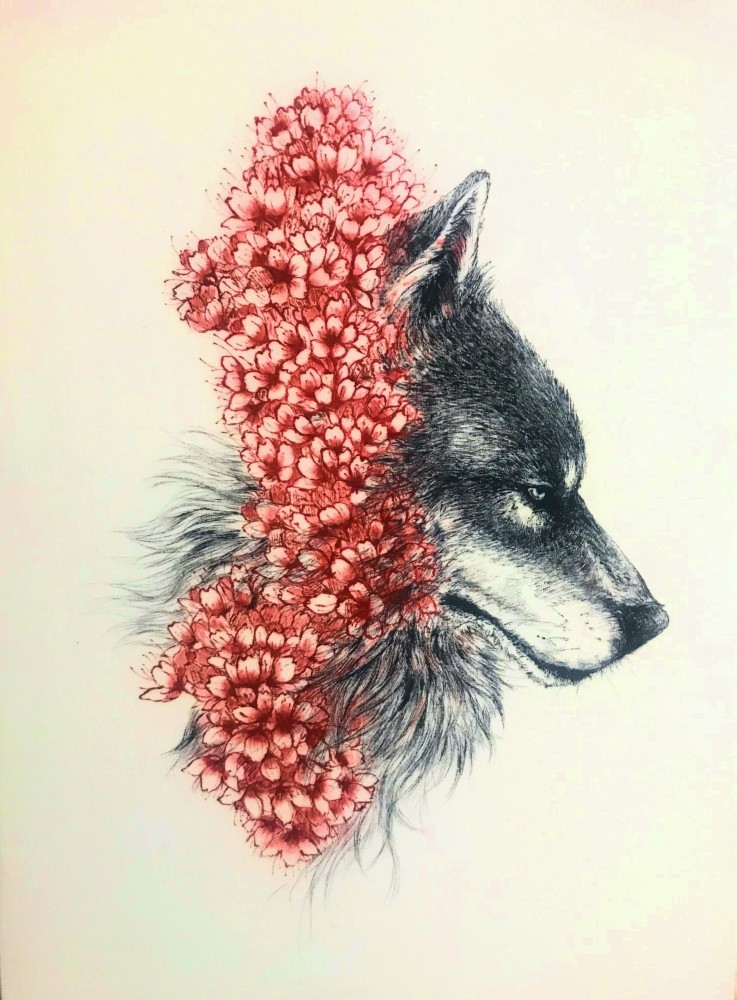 亀下 渚 亀下 渚